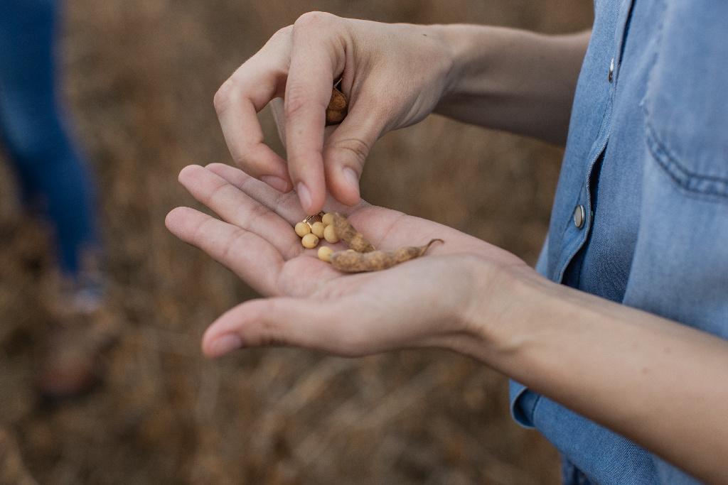 Cargill revela informe que muestra innovación y sustentabilidad junto a