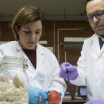 Convertite en tu propia batería: científicos crean ropa que genera electricidad a partir del calor corporal y piel de tomate