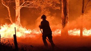 Incendios en Australia: Facebook recauda más de u$s40 millones de para ayudar en la catástrofe