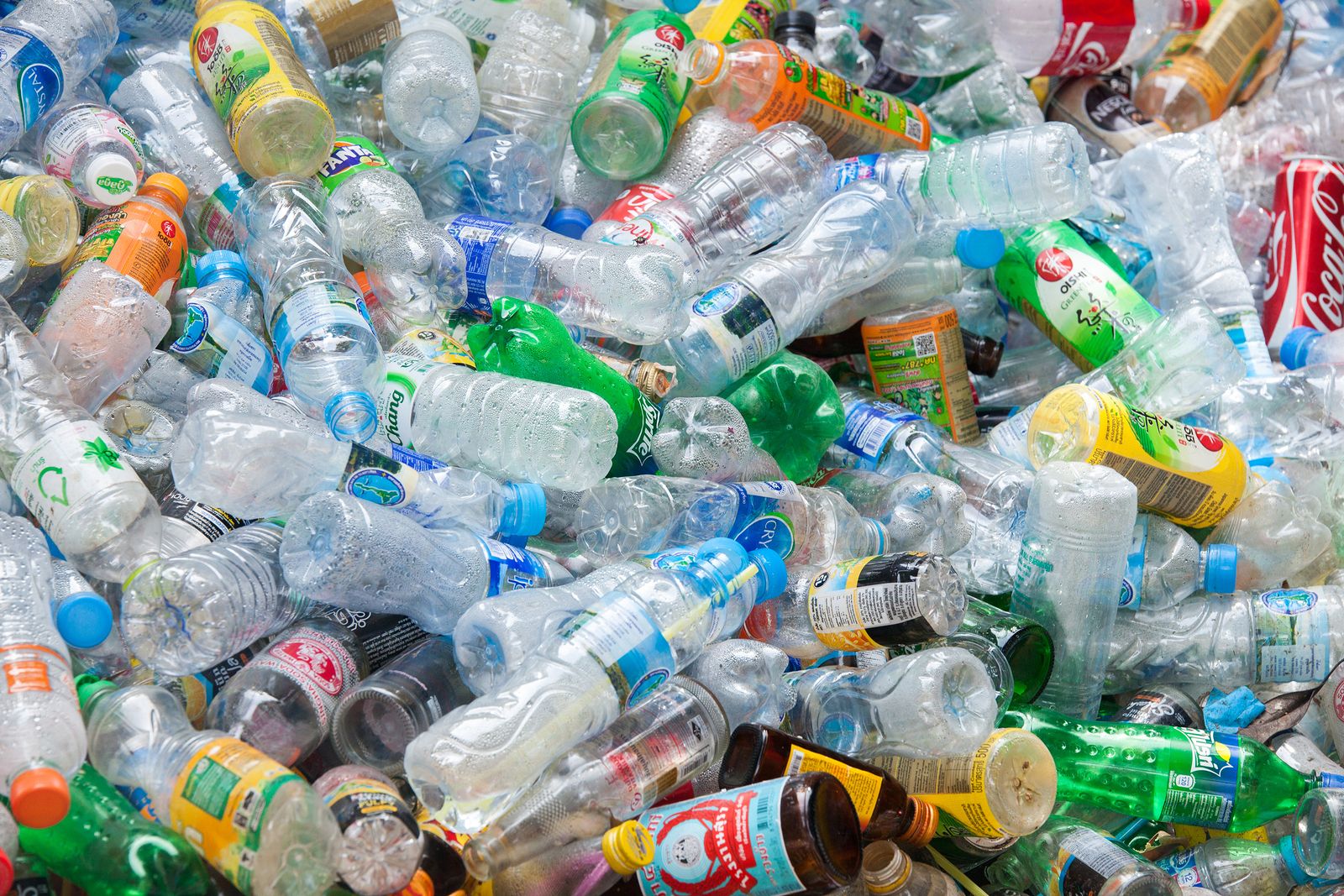Todo lo que necesitas saber sobre las botellas de plástico