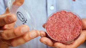 Carne argentina y de laboratorio: cómo el país ingresa al selecto grupo mundial de la ganadería celular