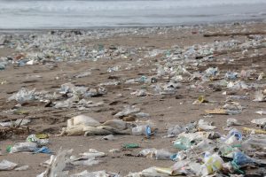 Colillas de cigarrillos: el principal residuo en las playas bonaerenses