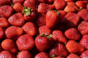 Nueva era alimenticia: el Inta ya comercializa las primeras frutillas hidropónicas en el país