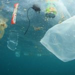 Argentina avanza en la eliminación de los plásticos de un solo uso: ¿dónde los prohibió?
