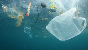 Tecnología al servicio del medioambiente: el problema de la basura marina