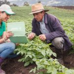 Innovación, alimentos y sustentabilidad: todo lo que llega a la agricultura para consolidar cultivos con menor impacto ambiental