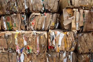 El negocio es la basura: esta empresa ayuda a otras organizaciones a convertir sus residuos en recursos