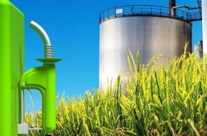 Lanzan una convocatoria para proyectos de nuevas plantas de bioetanol a base de azúcar y maíz