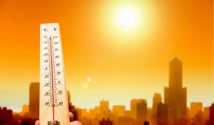 Crisis climática: la población soportará temperaturas extremas en los próximos años
