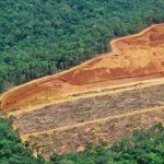 Preocupante: Bolsonaro busca reducir las metas de preservación amazónica