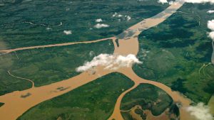 Ambiente reactiva un plan para conservar y aprovechar el delta del Paraná: ¿en qué consiste?