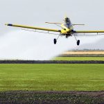 El Senasa trabaja para prohibir el uso de un popular insecticida