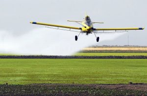 El Senasa trabaja para prohibir el uso de un popular insecticida