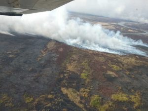 El incendio forestal del Paraná deja a Rosario bajo el humo: cómo avanza el fuego