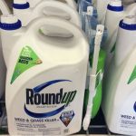 La Justicia ordena revisar los  riesgos para la salud del glifosato de Bayer