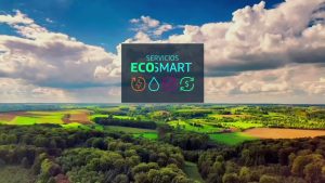 ¿Qué es Eco Smart, el nuevo «sello sustentable» de Telefónica?