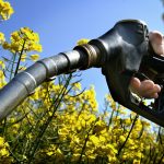 Combustibles: cambia la fórmula para establecer los precios del bioetanol a base de caña de azúcar y de maíz