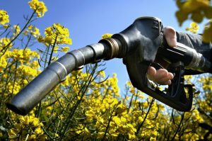 El Gobierno creó un registro de operadores de biocombustibles y mezcladores