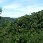 Ambiente prepara las acciones para el manejo de bosques con ganadería integrada para 2021
