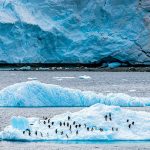 Catástrofe en ciernes: si se derrite la Antártida los océanos se elevarán 2,5 metros