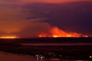 Incendios en el delta del Paraná: en qué trabaja el Comité de Emergencia Ambiental
