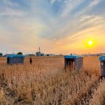Google se mete en el campo: así es el vehículo eléctrico que está desarrollando para la agricultura