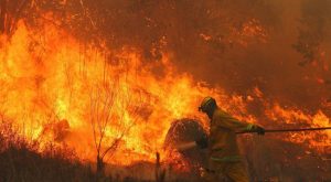 El fuego arrasa en Córdoba y el desastre ambiental requiere acción inmediata