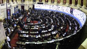 La Cámara de Diputados sancionó la «Ley Yolanda»: en qué consiste y por qué es tan importante