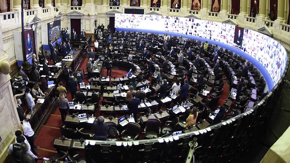 La Cámara De Diputados Sancionó La Ley Yolanda