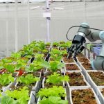 Agroindustria y desarrollo sostenible: por qué la economía circular gana terreno en Santa Fe