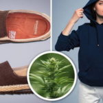 Legalización y nuevos negocios: ¿se viene la ropa hecha con plantas de cannabis?