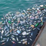 Por un mundo sustentable: cómo reciclar las botellas de plástico