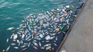 Tecnología al servicio del ambiente: IBM crea una plataforma para rastrear los desechos plásticos