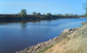 Preocupante: detectaron agroquímicos en aguas y peces del río Salado en Santa Fe