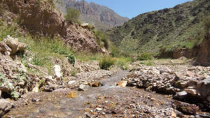 Día Mundial de los Humedales: la Reserva Natural Villavicencio renueva su compromiso con el medioambiente