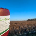 Grave: multan con $ 27 millones a una empresa por enterrar bidones de agrotóxicos