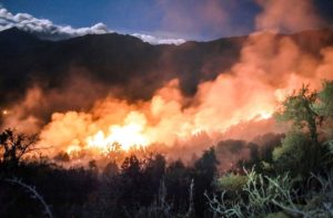 Incendios en El Bolsón: declararon la zona en situación de emergencia y desastre
