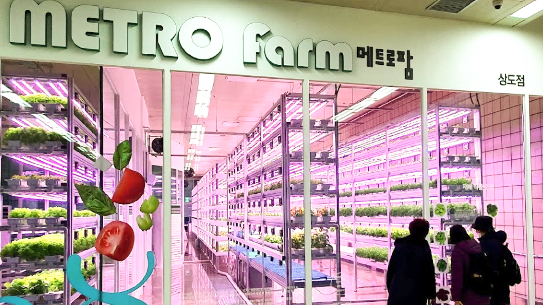 Underground farms sprout in Seoul's subway stations - Nikkei Asia