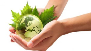 Benetton apuesta a la ecología con sus nuevas tiendas, y apoya la sostenibilidad