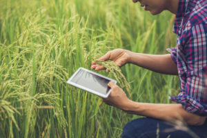¿Por qué la tecnología es un aliado perfecto para la agricultura sustentable?
