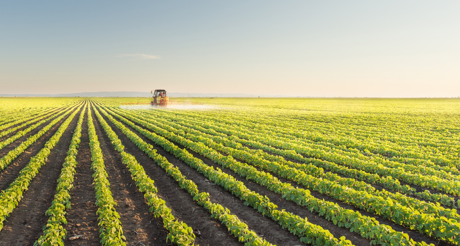 Agro Sostenible: Cómo Lograr Una Producción Más Sustentable Sin Dañar ...