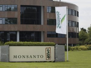 Buenos Aires multó a Monsanto por violar la ley: ¿cuánto tiene que pagar y por qué?