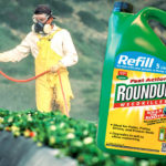 Bayer fue condenada a pagar U$S 25 millones a una víctima del glifosato. ¿Qué dijo la Justicia?