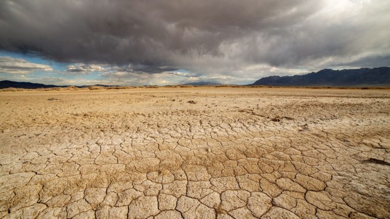 Hay 140 Millones De Hectáreas Afectadas Por Sequías En Argentina 1814