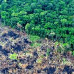 Crisis ambiental: la preocupación ciudadana en la Argentina aumentó casi 700%
