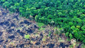 Crisis Climática: Desde Ambiente advierten que se está «muy cerca» de pasar el «punto de no retorno»