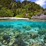 Más áreas terrestres protegidas, menos biodiversidad: ¿qué dice el informe de la ONU?