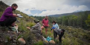 Sumá Nativas: la web para colaborar con la restauración de la cuenca del Río Mendoza