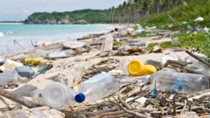 La pandemia desaceleró la producción mundial de plástico en 2020: ¿es suficiente?