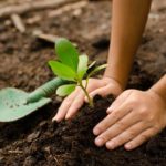 El Gobierno promulgó la Ley de Educación Ambiental Integral: ¿qué contempla?